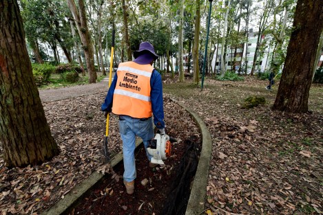 Con el fin de recuperar espacios públicos para la convivencia familiar y contribuir a la mejora del medio ambiente, este sábado se realizó la primera Jornada Comunitaria 2024 en el parque Vanguardia Revolucionaria y la unidad habitacional Jardines de Xalapa.