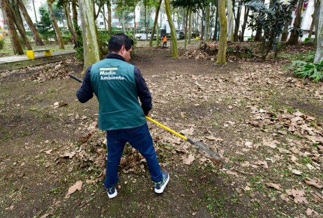 Con el apoyo de personal de la Dirección de Medio Ambiente se llevaron a cabo acciones de limpieza y chapeo en el parque ubicado en la colonia Vanguardia Revolucionaria y las áreas verdes localizadas en las calles Prolongación Encanto y Copa de Oro. 