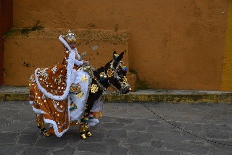 En el municipio de Miahuatlán tienen una forma muy particular de festejar el Día de Reyes: todo comienza desde muy temprano adornando a unos burritos  y caballos que cumplen la función de elefante y camello, los cuales habrán de repartir juguetes a todos los niños del lugar.