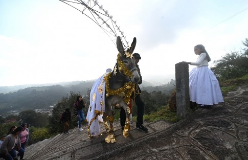 En el municipio de Miahuatlán tienen una forma muy particular de festejar el Día de Reyes: todo comienza desde muy temprano adornando a unos burritos  y caballos que cumplen la función de elefante y camello, los cuales habrán de repartir juguetes a todos los niños del lugar.