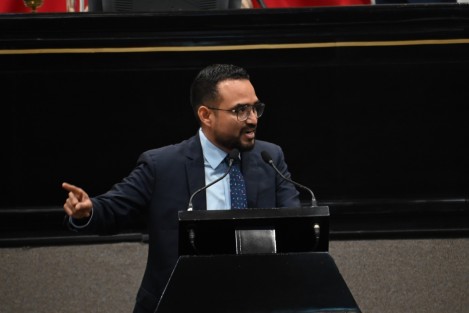 En nombre del Grupo Legislativo del Partido Acción Nacional (PAN), el diputado Miguel David Hermida Copado dijo que, antes de crear la Secretaría de Cultura, debería implementarse un proyecto del modelo cultural a seguir y se pronunció por dotar al IVEC de mayores atribuciones para mejorar su función.