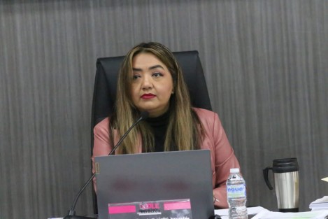 La presidenta del OPLE, Marisol Delgadillo Morales, dijo que es responsabilidad de cada partido la elección de sus candidatos, esto respecto a la declaración del dirigente del PRD, Jesús Zambrano, quien señaló que en ciertas regiones la delincuencia pone y quita candidatos. 