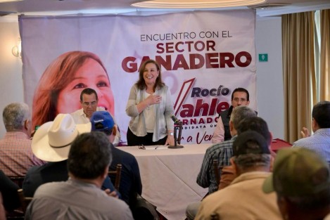  Representantes de diversos sectores productivos como el  ganadero, pesquero, apícola, porcícola y avícola, de todos los municipios y regiones de la entidad, presentaron su plan de trabajo a la precandidata única a la gubernatura por la coalición Sigamos haciendo historia en Veracruz, Rocío Nahle García quien agradeció la convocatoria porque son los expertos quienes engrosarán el Plan de Desarrollo del Estado 2024- 2030. 
