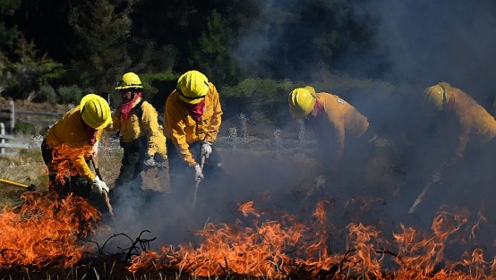  Veracruz cuenta con 639 combatientes dispuestos en 75 brigadas, además de 75 técnicos especializados, 51 vehículos entre pickups, redilas, cuatrimotos, remolques, carros motobomba y de ataque rápido, tractocamiones, tractores y bulldozers, 2 mil 152 herramientas y 103 dispositivos de radiocomunicación, un helicóptero, un bambi bucket, un gancho de carga y un sistema fire attack.