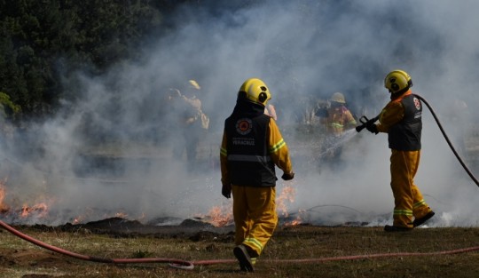  Veracruz cuenta con 639 combatientes dispuestos en 75 brigadas, además de 75 técnicos especializados, 51 vehículos entre pickups, redilas, cuatrimotos, remolques, carros motobomba y de ataque rápido, tractocamiones, tractores y bulldozers, 2 mil 152 herramientas y 103 dispositivos de radiocomunicación, un helicóptero, un bambi bucket, un gancho de carga y un sistema fire attack.