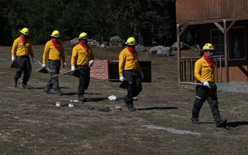 Gracias a las tareas de prevención y combate dirigidas por el Comité Estatal de Manejo del Fuego, el año pasado registró 18.9 por ciento menos incendios forestales y 3.4 en disminución de zonas afectadas con respecto a 2022, dio a conocer el gobernador Cuitláhuac García Jiménez.