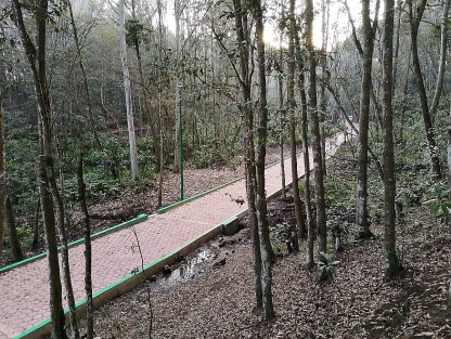 Será el próximo 30 de abril cuando el Gobernador Cuitláhuac García inaugure el parque  ecológico Molino de San Roque, adelantó el titular de SEDEMA, Juan Carlos Contreras Bautista. 