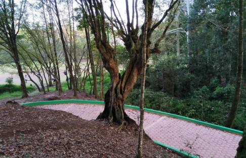 Será el próximo 30 de abril cuando el Gobernador Cuitláhuac García inaugure el parque  ecológico Molino de San Roque, adelantó el titular de SEDEMA, Juan Carlos Contreras Bautista. 