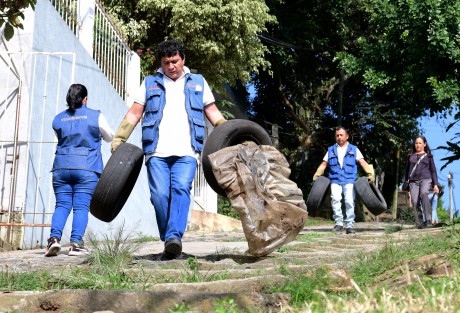 Personal del Departamento de Regulación Sanitaria, con el apoyo de una unidad de la Dirección de Limpia Pública, recolectó objetos que pudieran acumular agua y convertirse en criaderos del mosco transmisor del dengue en diversas calles de esta colonia, como Circuito Osa Menor, Urano y Estrella Polar del Norte. 