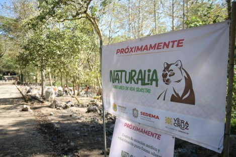 El Gobernador Cuitláhuac García, realizó un recorrido por el proyecto Naturalia. A través de redes sociales anunció que habrá sorpresas pronto. 