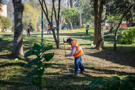 Como parte de las acciones se brindó atención a las áreas ubicadas en la calle Arquitectos, entre Retorno 6 y 3, así como al parque de la calle Ingenieros, en la Unidad Magisterial.En el caso de Xalapa 2000 se intervino el área ubicada en Manantial de San Cristóbal.