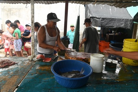 La actividad económica de este lugarcito jarocho se centra además de la pesca, en la gastronomía de mar, por lo que muchos visitantes acuden a degustar los platillos atendidos por gente jarocha, que aún no pierde su esencia. 
