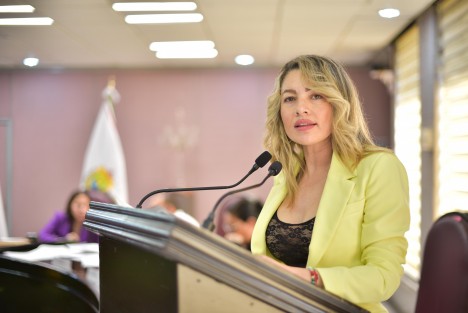 En la Segunda Sesión Ordinaria del Primer Receso del Tercer Año de Ejercicio Constitucional, la diputada Maribel Ramírez Topete propuso la creación de un Registro Público Digital que concentre la información de todos los Institutos Municipales de la Mujer en Veracruz, mediante una actualización a la Ley Orgánica del Municipio Libre.