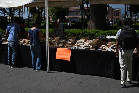 En el parque Juárez de Xalapa se realiza el Tendedero de Libros Estridentistas, donde se oferta libros desde 20 pesos.  La gente puede escoger algún título de su preferencia. Estarán hasta el día de mañana. 