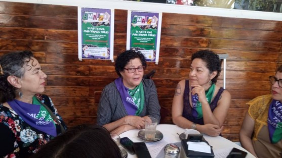 Activistas de la Red de Mujeres Feministas de Veracruz convocan a ciudadanas a unirse a la marcha del 8 de marzo en la Capital veracruzana.
