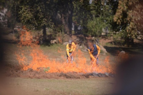  Durante el periodo comprendido entre el 15 de marzo y 14 de agosto, quedan prohibidas las quemas agrícolas que incumplan los protocolos de seguridad, mediante decreto publicado en la Gaceta Oficial del Estado y a fin de prevenir incendios de bosques, selvas y pastizales.
