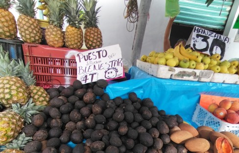 En la colonia Veracruz, de la ciudad de Xalapa, comerciantes respaldan abiertamente sus preferencias políticas. 
