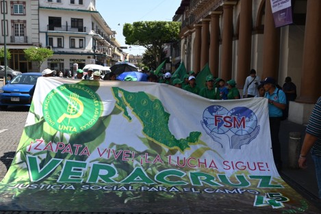 Distintas organizaciones campesinas convocaron a mujeres para marchar en la calles de Xalapa por el Día Internacional de La Mujer. Pese a que la gente del campo está acostumbrada a jornadas de trabajo bajo el sol, fue notoria su fatiga en este día de calor extremo.  Ojalá hayan acudido por iniciativa propia y no de sus líderes. 