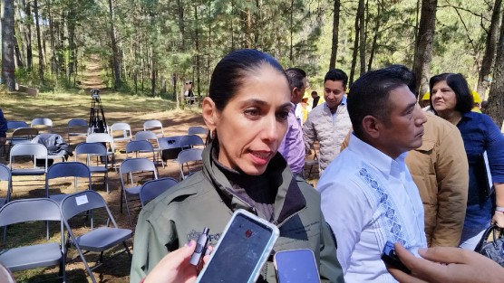 La titular de la Fiscalía General del Estado(FGE), Verónica Hernández Giadans, aseguró que ya se investiga el caso de Sthepanie López Tenorio, quien fuera golpeada por su esposo, Pedro Arturo Hernández Prado, y éste le arrebatara a su hijo de 10 años de edad. 