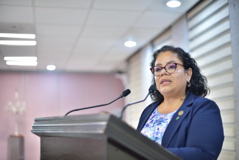 Tras la conmemoración del Día Internacional de la Mujer, el pasado 8 de marzo, la diputada Illya Dolores Escobar Martínez se pronunció a favor de fortalecer la igualdad de las mujeres a través de la generación de políticas públicas, impulso de proyectos financieros dirigido por mujeres y una legislación con perspectiva de género.