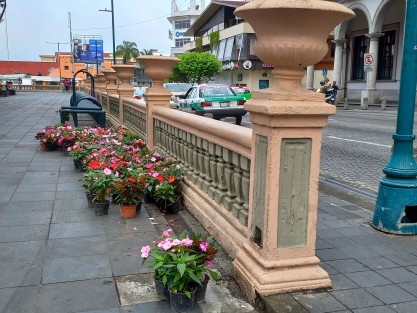 Se alista el parque Benito Juárez de Xalapa con renovación de flores para recibir la primavera. 