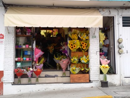 Florerías de Xalapa alistan sus flores amarillas para los jóvenes que recibirán así la primavera, aunque de hecho la misma inició  el martes 19 de marzo a las 21:06 hora del centro de México. 