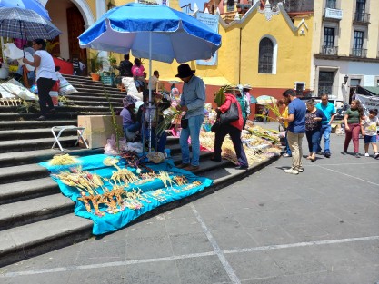 Pese a que año con año aseguran que no tienen ganancias más que para solventar sus gastos, comerciantes de palmas del estado de Puebla llegaron a los templos de Xalapa a comercializar sus productos. 