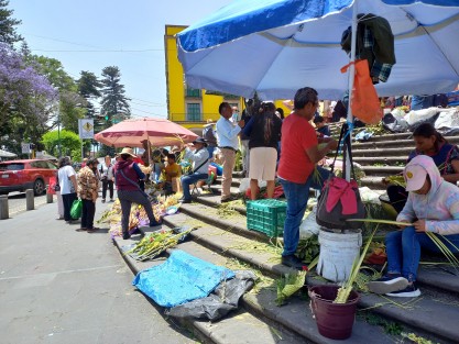 Pese a que año con año aseguran que no tienen ganancias más que para solventar sus gastos, comerciantes de palmas del estado de Puebla llegaron a los templos de Xalapa a comercializar sus productos. 