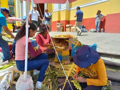 Pese a que año con año aseguran que no tienen ganancias más que para solventar sus gastos, comerciantes de palmas del estado de Puebla llegaron a los templos de Xalapa a comercializar sus productos. 