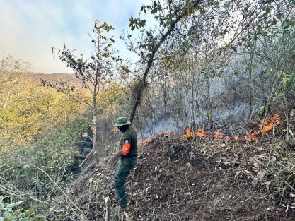 Elementos de Policía Estatal y Fuerza Civil activaron Operativo Plan Tajín en coordinación con SEDEMA, PC y CONAFOR para sofocar incendio forestal en el municipio de Maltrata. 