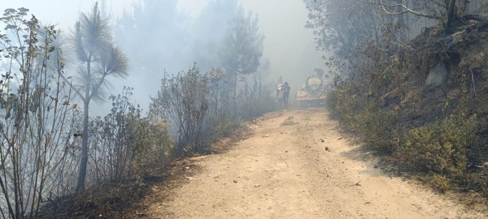 De acuerdo con la última actualización del Gobierno estatal son 620 las hectáreas afectadas por los incendios forestales activos en la región de las Altas Montañas, de forma preliminar, sin reporte de personas fallecidas o lesionadas, gracias a la rápida respuesta y cooperación de los órdenes federal y municipal, en tres polígonos de atención.