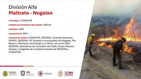 La división Alfa, encargada de la zona Maltrata-Nogales, mantiene un control del 50 por ciento y liquidación de 40, cuantificando daño en 400 has; mientras que la división Bravo, en Huiloapan-Mendoza, registra estragos en 220, un control de 40 y liquidación del 10%, y en Soledad Atzompa la división Charlie no ha determinado el radio, pero ha controlado un 30 y liquidado el 20%.