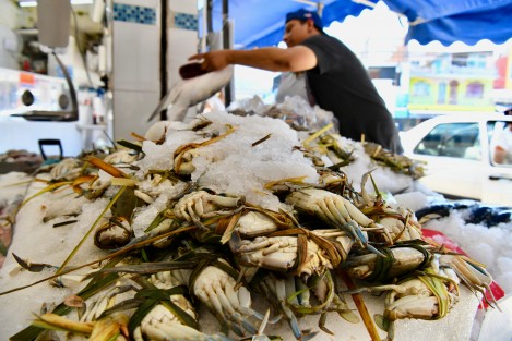 Con el objetivo de evitar enfermedades gastrointestinales, cuidar el bienestar y la seguridad de la población, la Dirección de Salud informó que este jueves se implementará el operativo Semana Santa en las pescaderías de Xalapa, con el fin de que estos negocios operen bajo la normatividad y con base en las reglas de salubridad. 