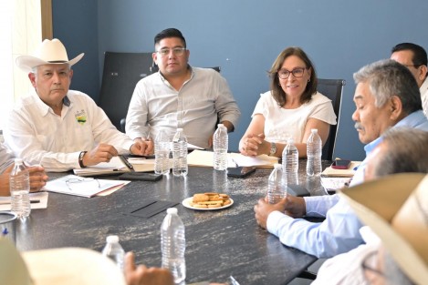 Veracruz ratificará su estatus como uno de los primeros estados productores de caña de azúcar, afirmó la Ingeniera Rocío Nahle García, al reunirse en Boca del Río con integrantes de la Unión Nacional Cañera CPM, 