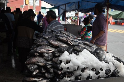 En este jueves de Semana Santa lucen abarrotadas la mayoría de las pescaderías de la zona de La Rotonda. A decir de los comerciantes, mañana es el día más fuerte en ventas. 