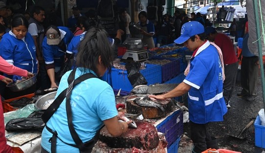 En esta ocasión los precios del pescado y camarón no se elevaron tanto como en otros años. El que sí tuvo precio alto fue el camarón seco. 