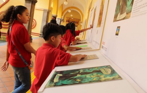 La Secretaría de Cultura de Veracruz ha organizado en el Museo de Arte del Estado de Veracruz una jornada con actividades de fomento a la lectura, dinámicas inclusivas y talleres con motivo del Día de la Niña y el Niño. 