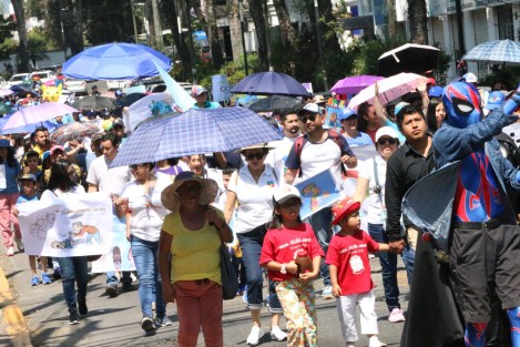 En el marco del Día Mundial de Concienciación sobre el Autismo 2024, que se conmemoró el 2 de abril, decenas de personas marcharon hasta el centro de Xalapa para hacer visible los obstáculos que enfrentan las personas con esta condición.
