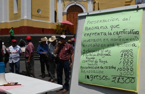 Cafetaleros de varios municipios protestaron en plaza Lerdo por los insostenibles bajos precios del café.