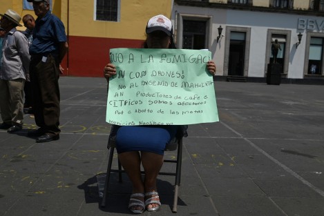 Cafetaleros de varios municipios protestaron en plaza Lerdo por los insostenibles bajos precios del café.