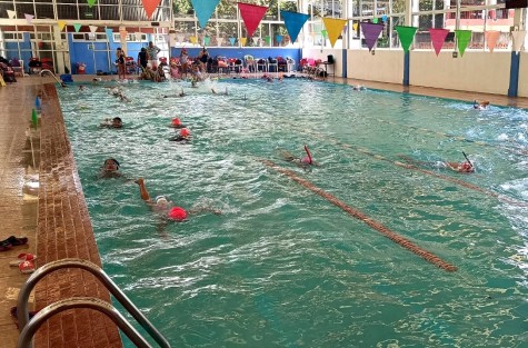 Con un aforo estimado para 200 participantes, este 1 de junio se realizará la segunda fecha de la Liga Veracruzana de Natación en la alberca de la Escuela Salvador Díaz Mirón, sede del Club Truchas. 