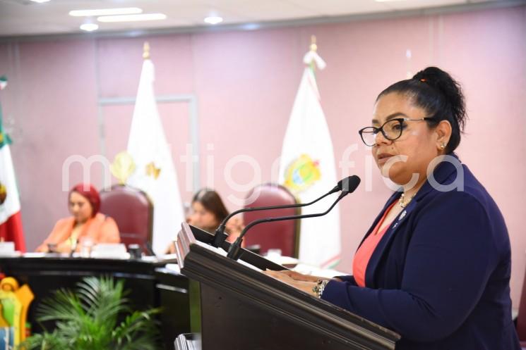 En la Sexta Sesión Ordinaria del Primer Receso de este año, la diputada Illya Dolores Escobar Martínez hizo un llamado a todos los ayuntamientos de Veracruz para que reconozcan la gran labor del Consejo Nacional de Fomento Educativo (Conafe) para abatir el rezago social en México.