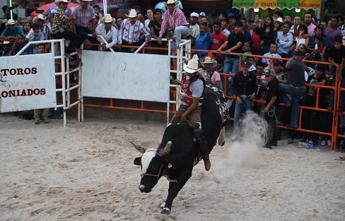 El jaripeo constituye una parte importante de la fiesta en la localidad, mientras no crezca la comunidad de animalistas que denuncien maltrato animal. 