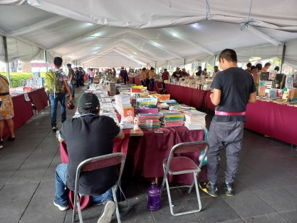 Este domingo concluyó la Feria Xalapeña del Libro, en el parque Juárez de Xalapa. 