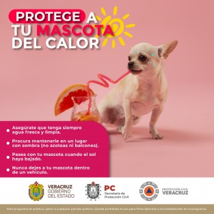 Ante la intensa temporada de calor, autoridades de Protección Civil invitan a la población a no olvidar proteger a sus mascotas.