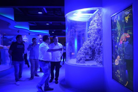 En la estrategia de ampliación y modernización del Aquarium del Puerto de Veracruz destaca el área que exhibirá más de 44 nuevas especies, entre medusas, erizos y peces bioluminiscentes, con zonas de contacto para que el público disfrute una experiencia cercana en medio de la diversidad marítima.