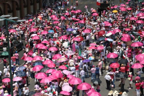 Cabe recordar que el INE solicitó omitir el uso de color rosa para esta marcha, por ser el mismo el representativo del Instituto Electoral, ya que la movilización fue con fines partidistas, sin embargo el llamado fue ignorado, resaltando el uso de sombrillas rosas iguales. 