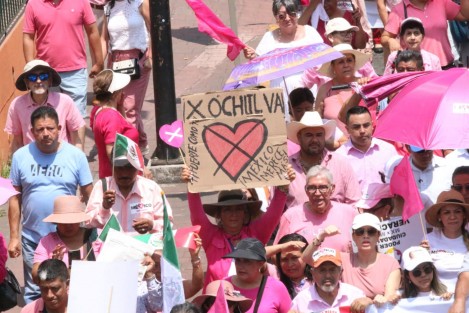 Cabe recordar que el INE solicitó omitir el uso de color rosa para esta marcha, por ser el mismo el representativo del Instituto Electoral, ya que la movilización fue con fines partidistas, sin embargo el llamado fue ignorado, resaltando el uso de sombrillas rosas iguales. 