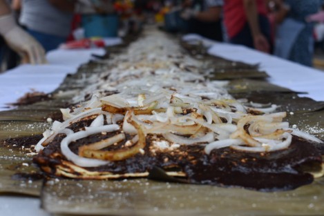 El municipio de Teocelo logró la meta de elaborar la enmolada más grande del mundo ya que este producto de la gastronomía mexicana tuvo una longitud de 125 metros y contó con diferentes rellenos: pastor, sudadero, pollo, picadillo, de camarón entre otros.