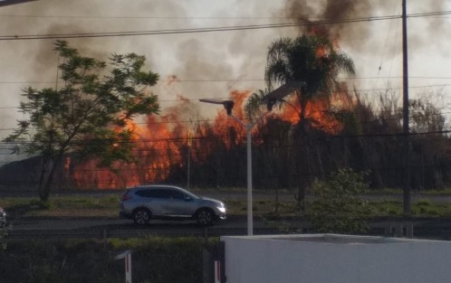 Este lunes se registró un incendio de pastizal en las inmediaciones de la Plaza del Juguete y una universidad privada. Tome precauciones. 